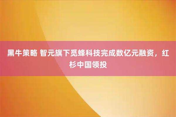 黑牛策略 智元旗下觅蜂科技完成数亿元融资，红杉中国领投