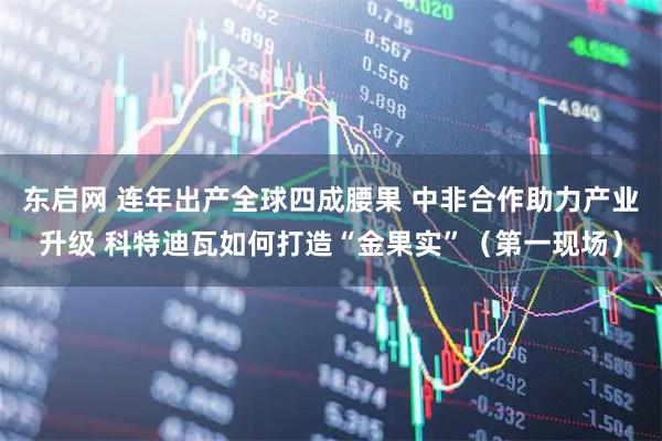东启网 连年出产全球四成腰果 中非合作助力产业升级 科特迪瓦如何打造“金果实”（第一现场）